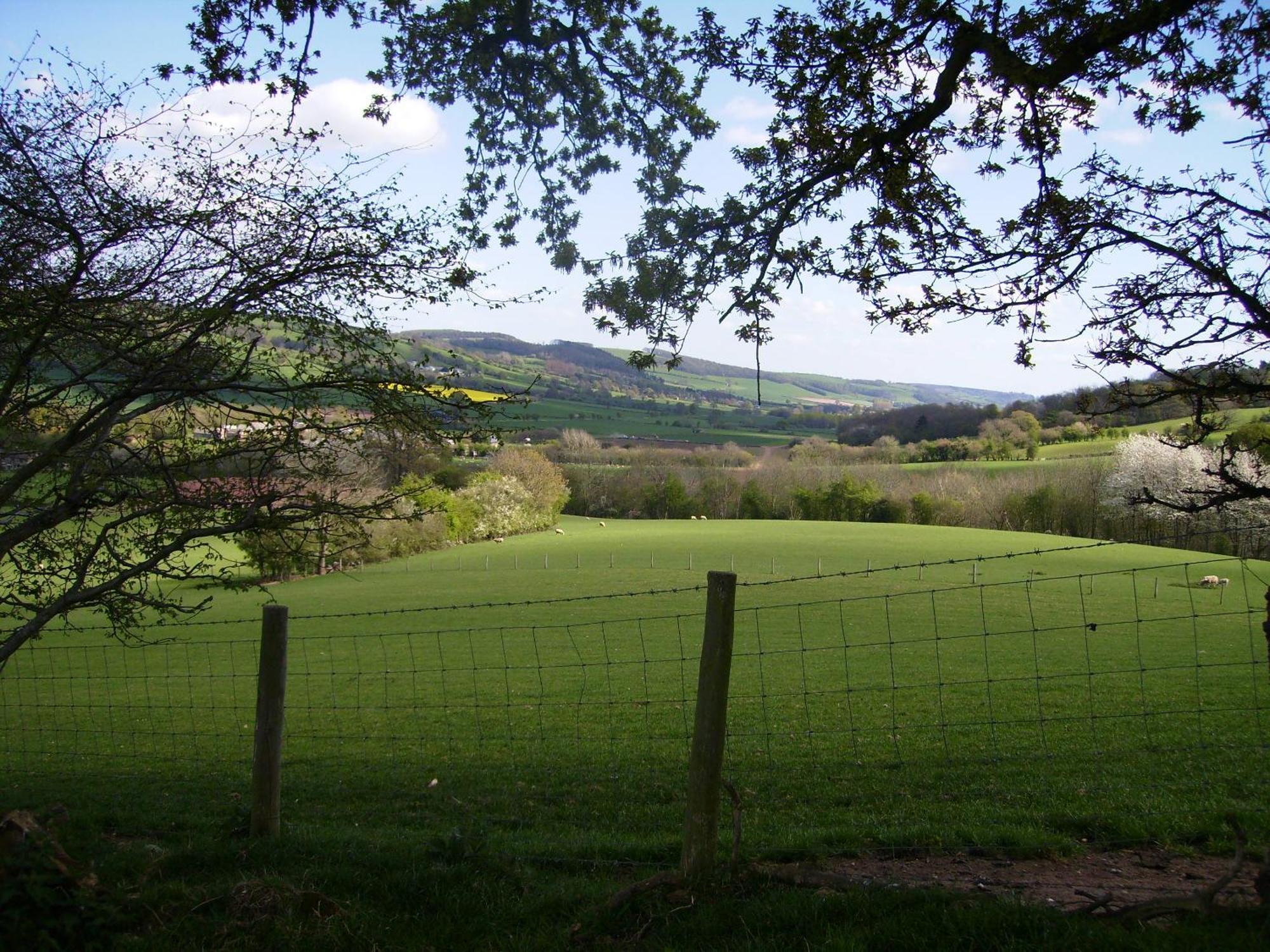 Highfield Bed & Breakfast Hay-On-Wye Bagian luar foto