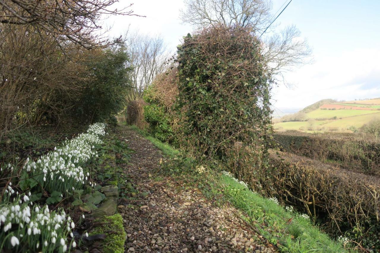 Highfield Bed & Breakfast Hay-On-Wye Bagian luar foto